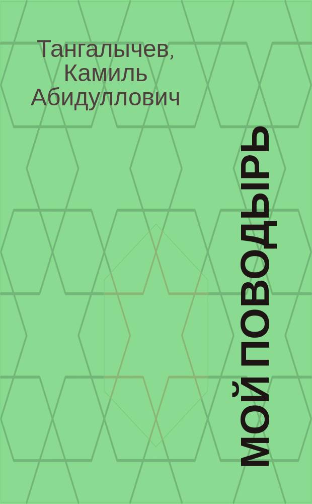 Мой поводырь : Кн. стихотворений