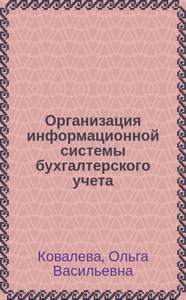 Организация информационной системы бухгалтерского учета : Учеб. пособие