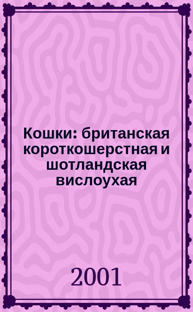 Кошки: британская короткошерстная и шотландская вислоухая