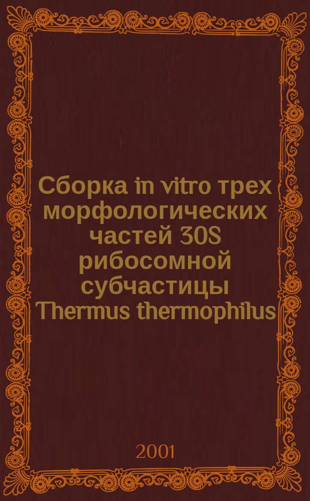 Сборка in vitro трех морфологических частей 30S рибосомной субчастицы Thermus thermophilus : Автореф. дис. на соиск. учен. степ. к.б.н. : Спец. 03.00.03