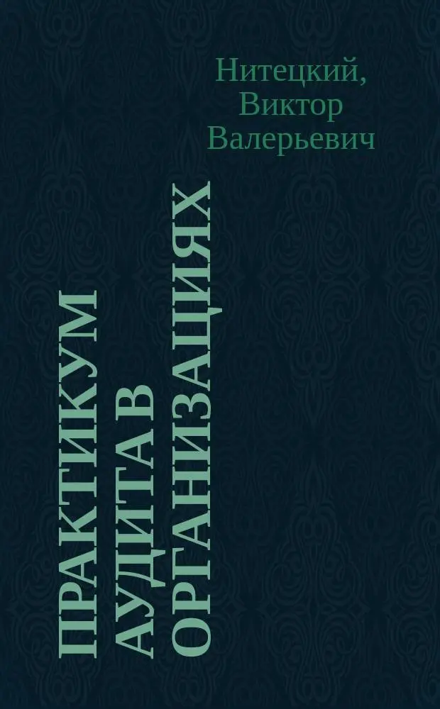 Практикум аудита в организациях : С использованием нового Плана счетов : Учеб.-практ. пособие