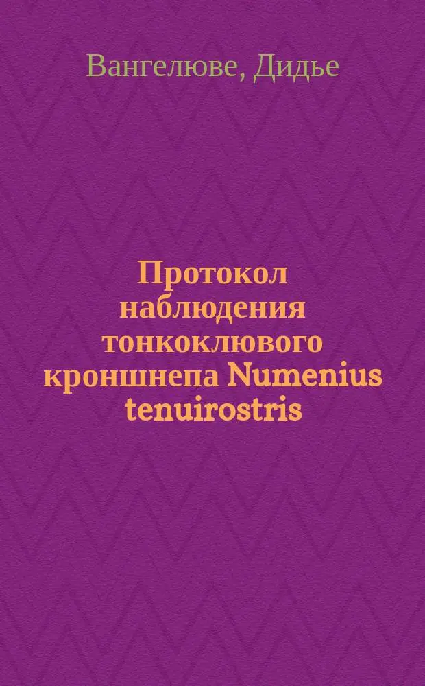 Протокол наблюдения тонкоклювого кроншнепа Numenius tenuirostris