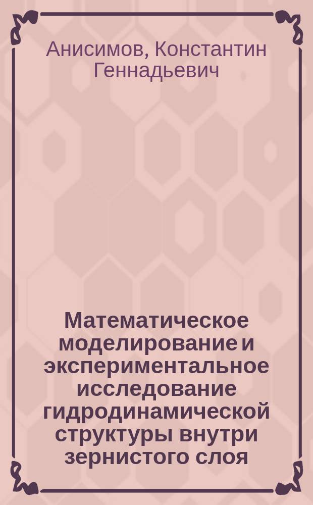 Математическое моделирование и экспериментальное исследование гидродинамической структуры внутри зернистого слоя : Автореф. дис. на соиск. учен. степ. к.ф.-м.н. : Спец. 05.13.16