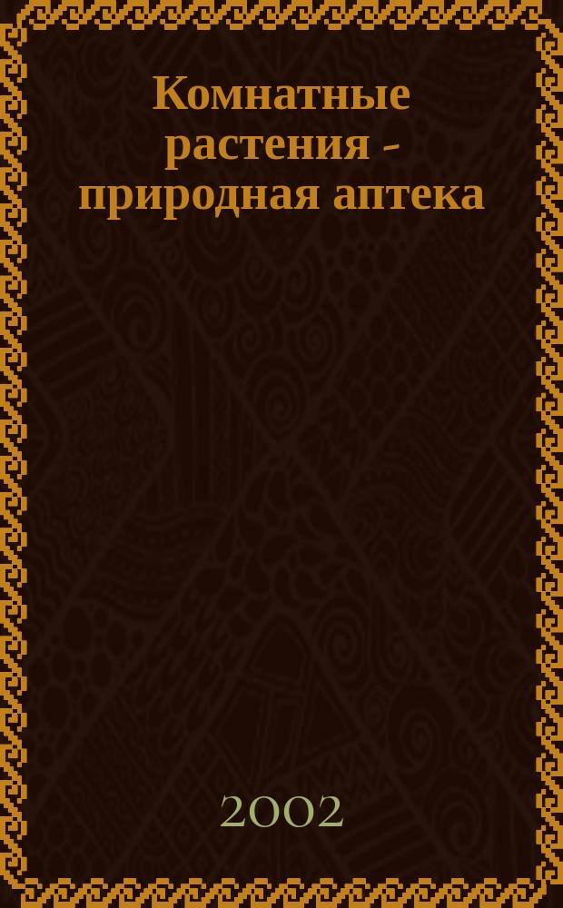Комнатные растения - природная аптека