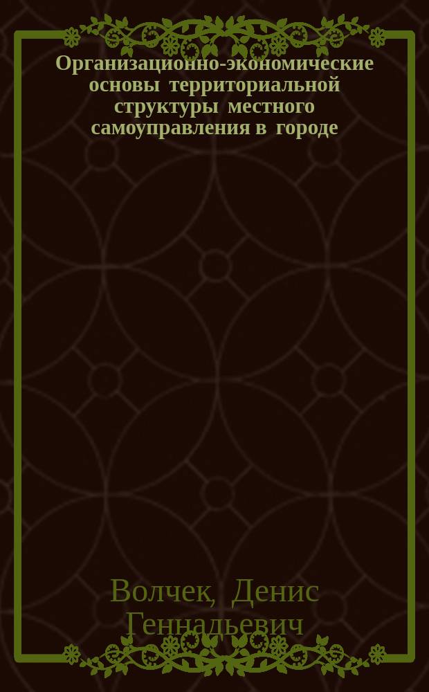 Организационно-экономические основы территориальной структуры местного самоуправления в городе