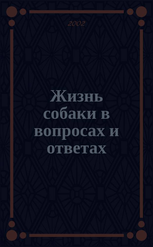 Жизнь собаки в вопросах и ответах