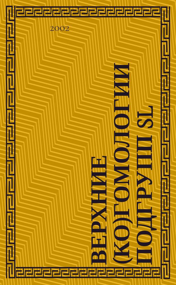 Верхние (ко)гомологии подгрупп SL(s,Z) = The top (co)homology of subgroups of SL(s,Z)