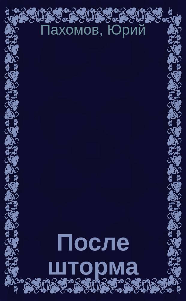 После шторма : Роман