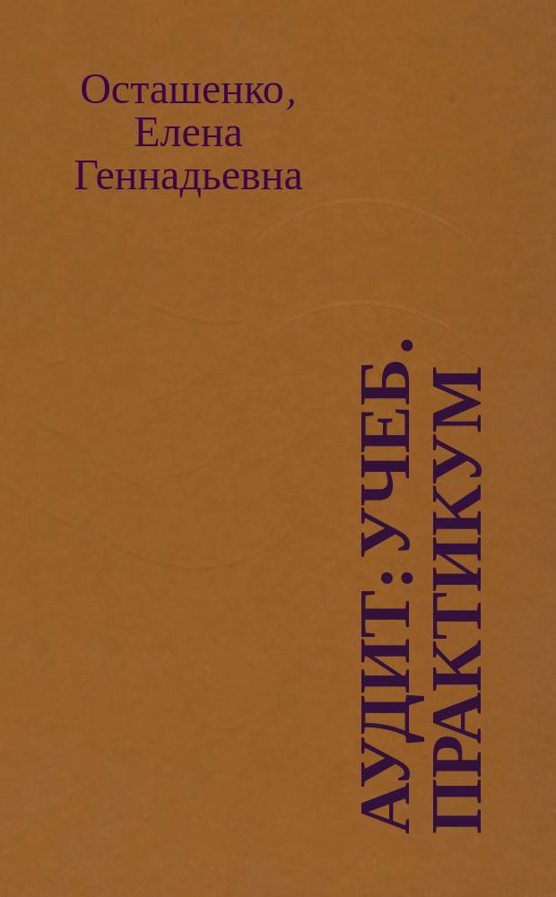 Аудит : Учеб. практикум