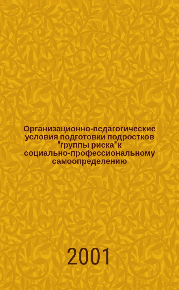 Организационно-педагогические условия подготовки подростков "группы риска" к социально-профессиональному самоопределению (на примере общеобразовательной реальной школы) : Автореф. дис. на соиск. учен. степ. к.п.н. : Спец. 13.00.01