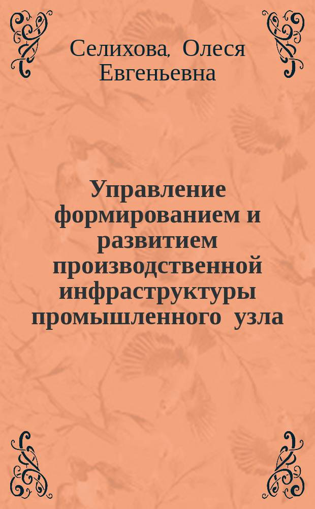 Управление формированием и развитием производственной инфраструктуры промышленного узла : Автореф. дис. на соиск. учен. степ. к.э.н. : Спец. (08.00.05)
