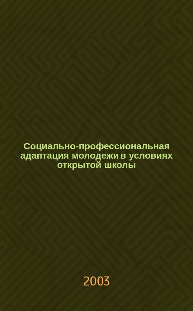 Социально-профессиональная адаптация молодежи в условиях открытой школы