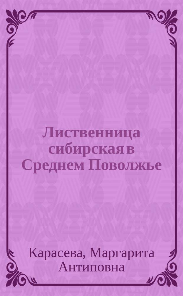 Лиственница сибирская в Среднем Поволжье