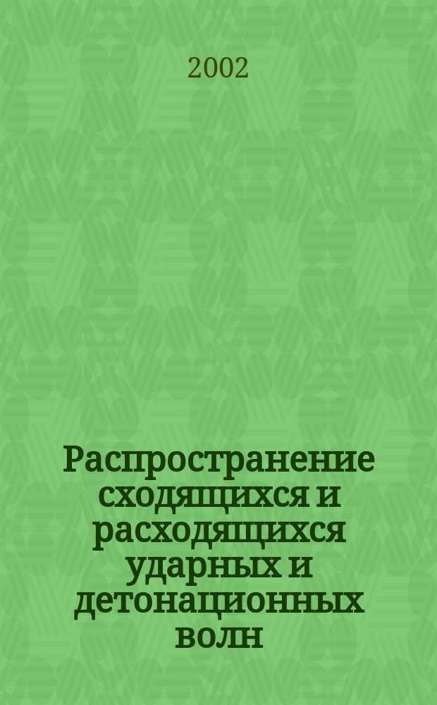 Распространение сходящихся и расходящихся ударных и детонационных волн : Автореф. дис. на соиск. учен. степ. к.ф.-м.н. : Спец. 01.02.05
