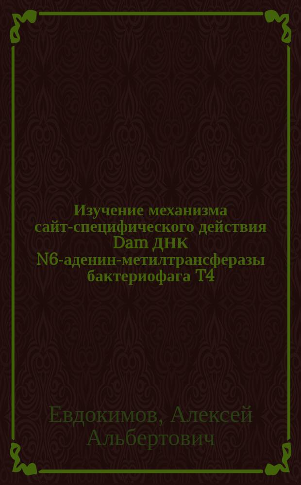 Изучение механизма сайт-специфического действия Dam ДНК [N6-аденин]-метилтрансферазы бактериофага T4 : Автореф. дис. на соиск. учен. степ. к.б.н. : Спец. 03.00.03