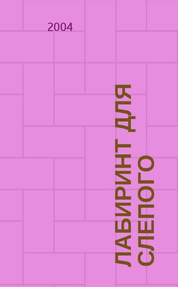 Лабиринт для Слепого : Роман