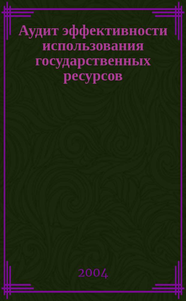 Аудит эффективности использования государственных ресурсов