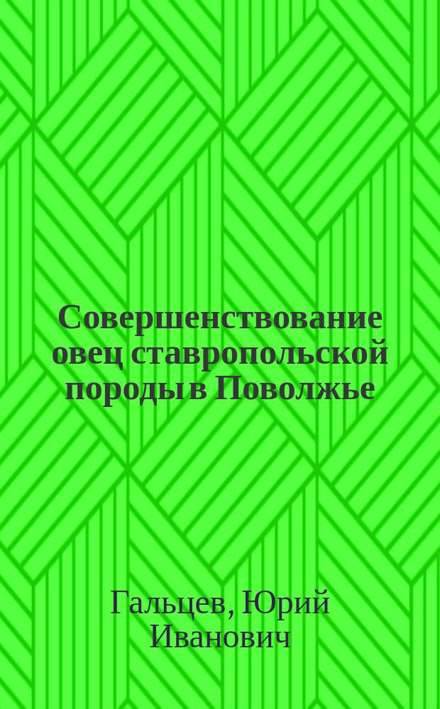 Совершенствование овец ставропольской породы в Поволжье : Автореф. дис. на соиск. учен. степ. д.с.-х.н. : Спец. 06.02.01
