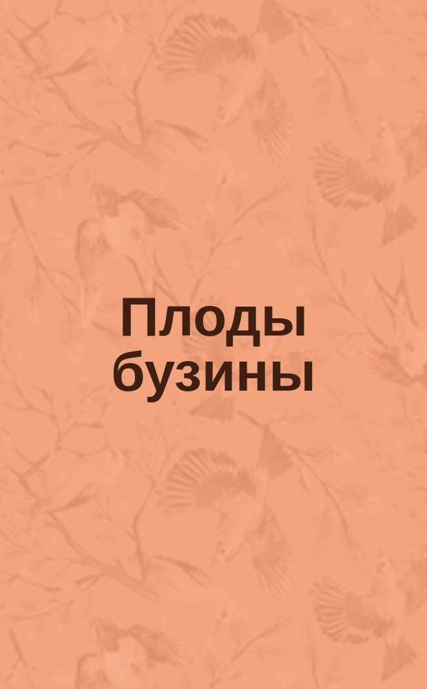 Плоды бузины