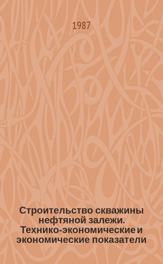 Строительство скважины нефтяной залежи. Технико-экономические и экономические показатели. Термины и определения