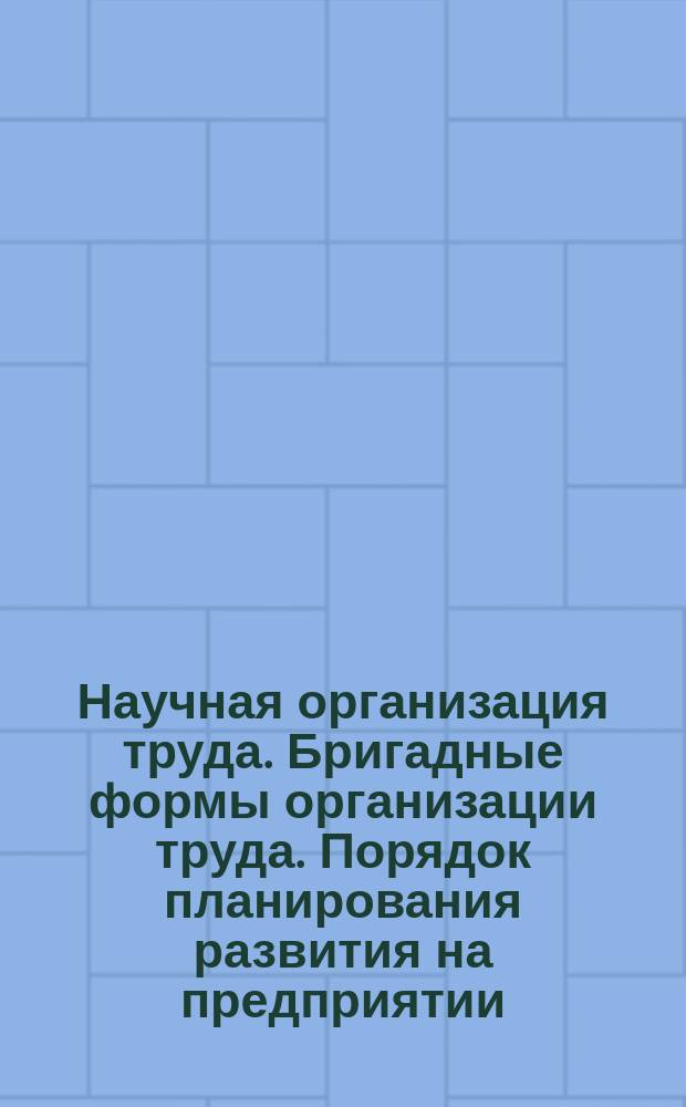 Научная организация труда. Бригадные формы организации труда. Порядок планирования развития на предприятии, учет и отчетность