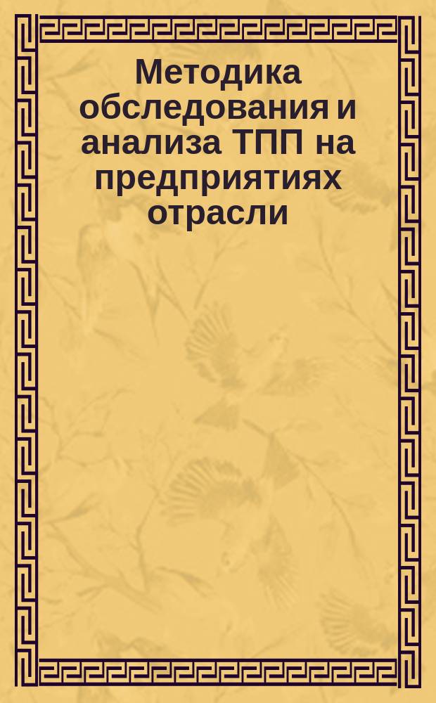 Методика обследования и анализа ТПП на предприятиях отрасли