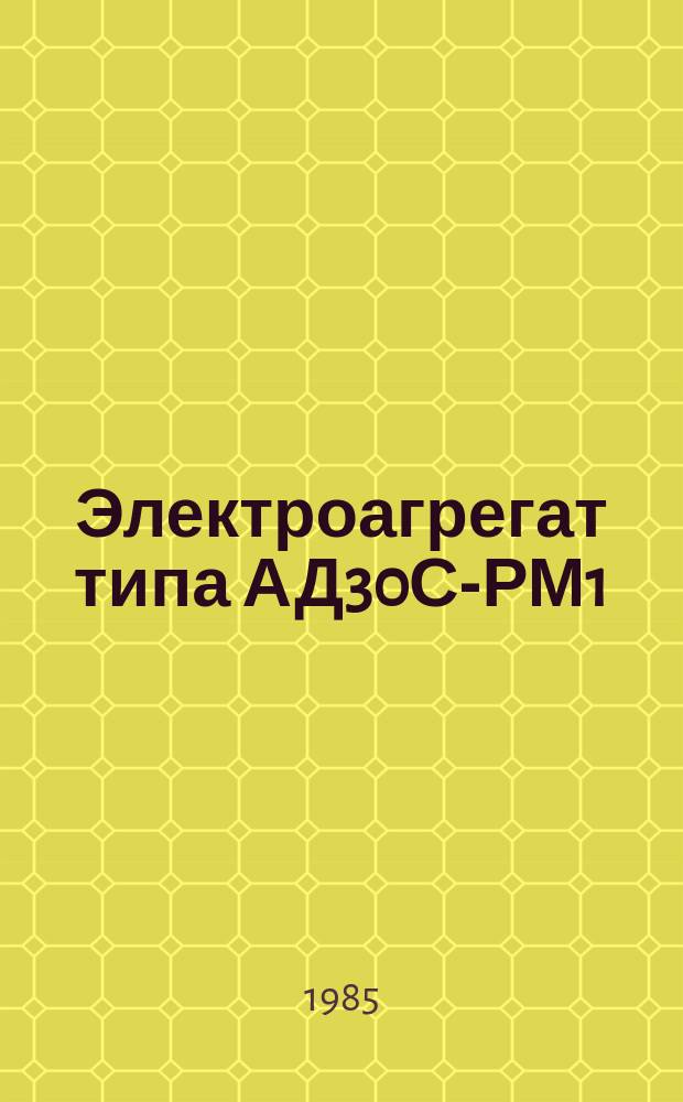 Электроагрегат типа АД30С-РМ1