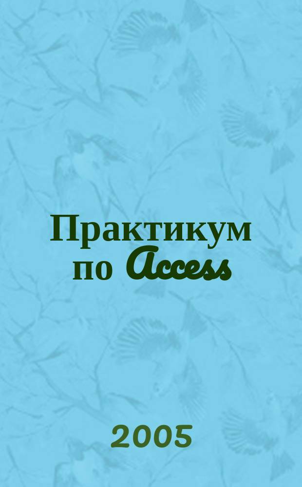 Практикум по Access : подготовительный курс, предваряющий более глубокое изучение технологии баз данных