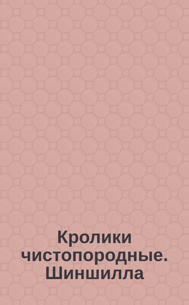 Кролики чистопородные. Шиншилла