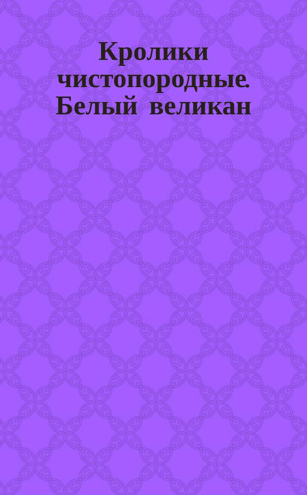 Кролики чистопородные. Белый великан