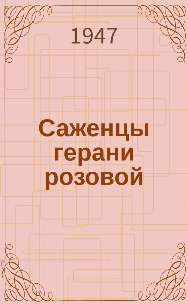 Саженцы герани розовой