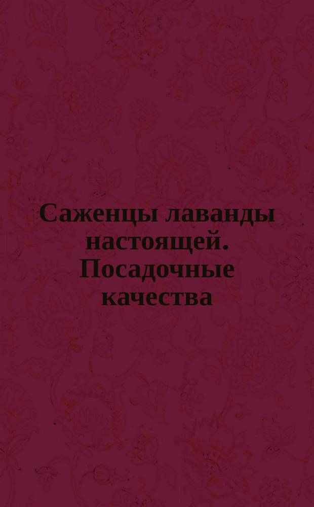 Саженцы лаванды настоящей. Посадочные качества