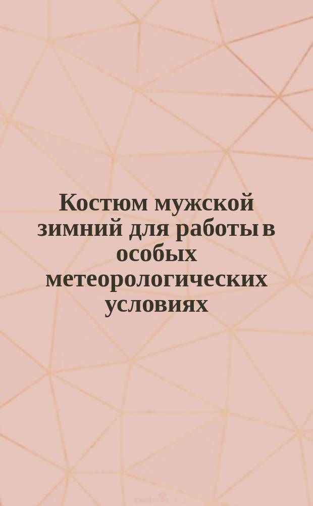 Костюм мужской зимний для работы в особых метеорологических условиях