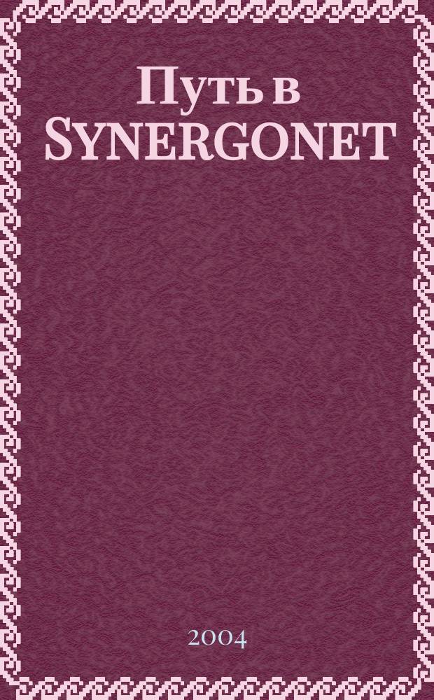 Путь в Synergonet