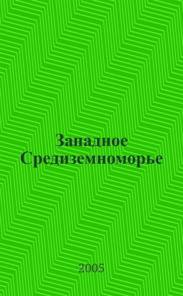 Западное Средиземноморье: проблемы интеграции