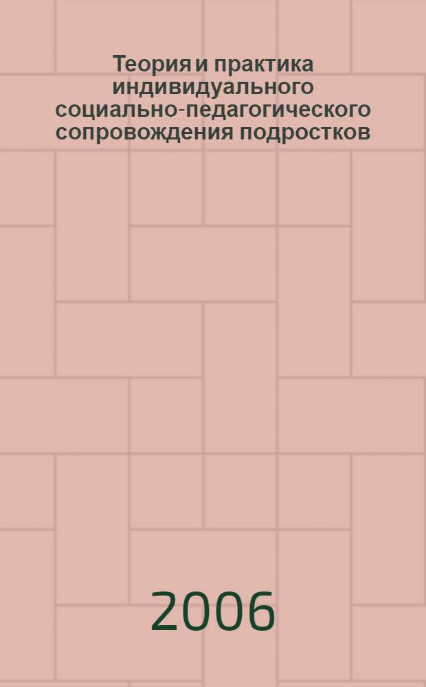 Теория и практика индивидуального социально-педагогического сопровождения подростков = Theorie und praxis der intensiven sozialpä dagogischen einzelbetreuung im ausland : сборник
