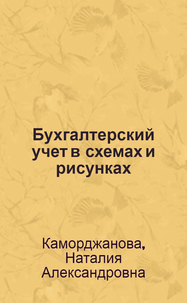 Бухгалтерский учет в схемах и рисунках