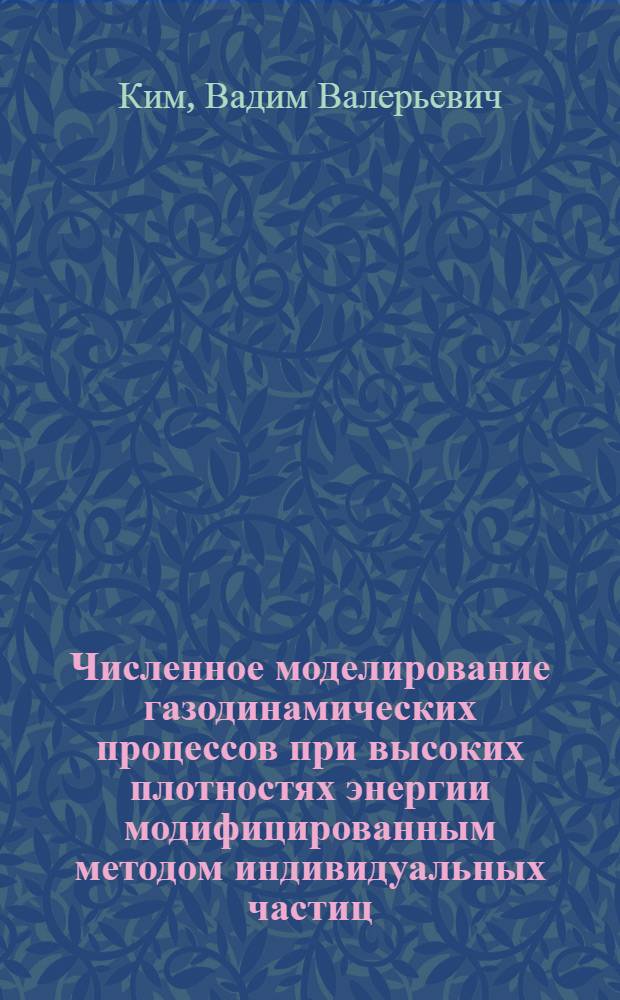 Численное моделирование газодинамических процессов при высоких плотностях энергии модифицированным методом индивидуальных частиц : автореф. дис. на соиск. учен. степ. к.ф.-м.н. : спец. 01.04.17