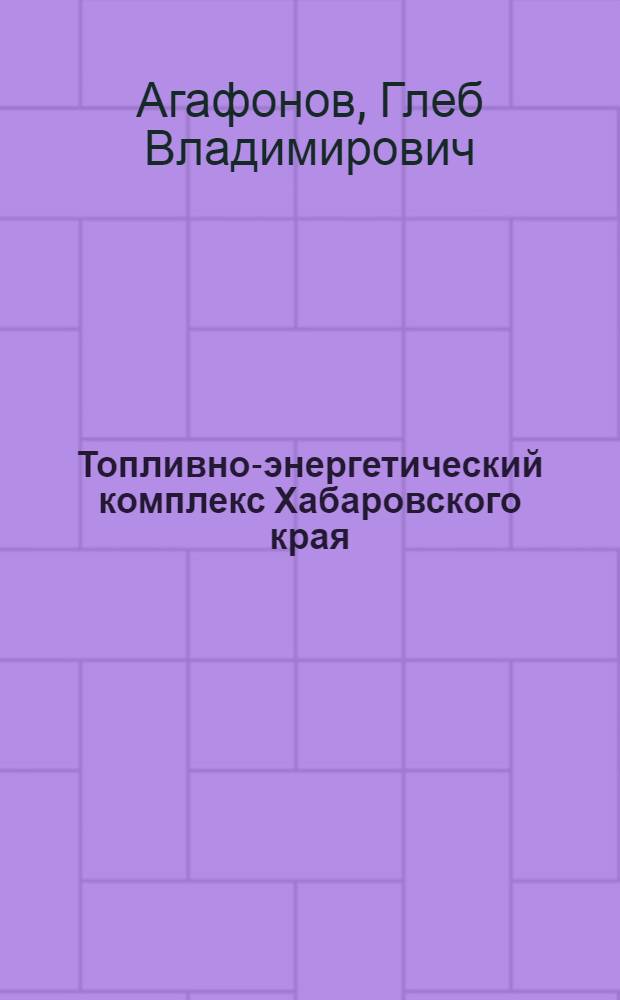 Топливно-энергетический комплекс Хабаровского края = Energy of Khabarovskiy krai : состояние и стратегия развития