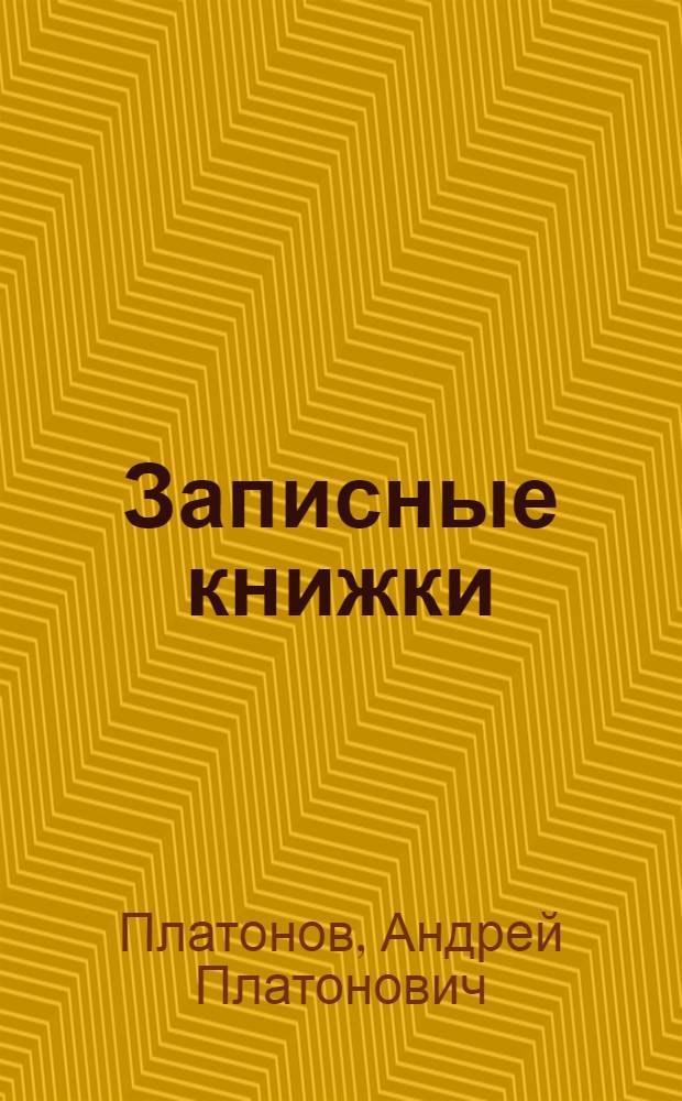 Записные книжки : материалы к биографии