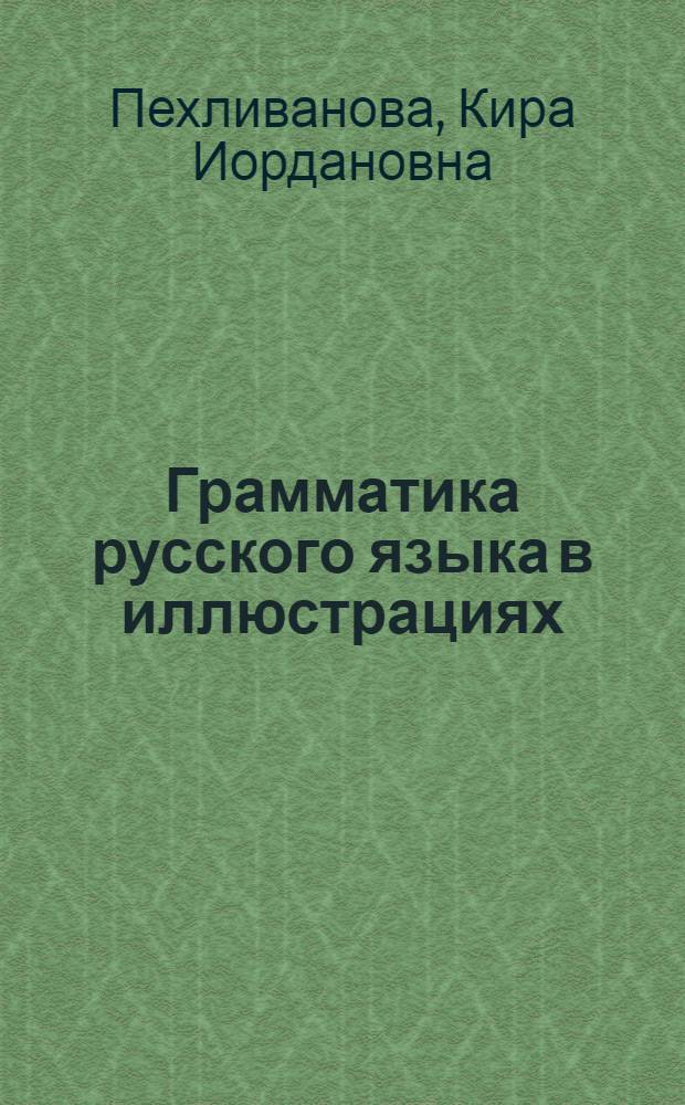 Грамматика русского языка в иллюстрациях : учебное пособие