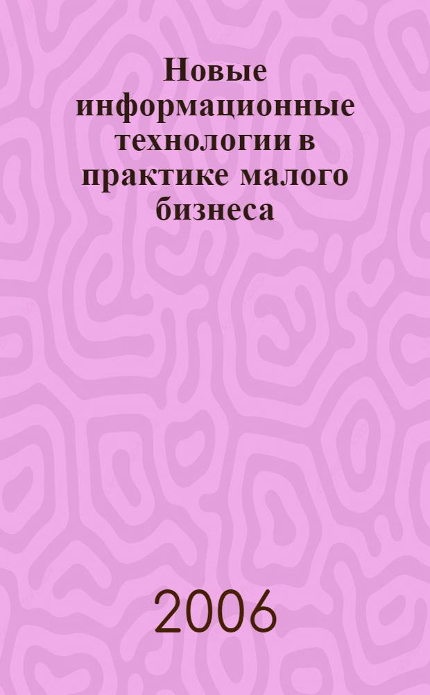 Новые информационные технологии в практике малого бизнеса : учебное пособие