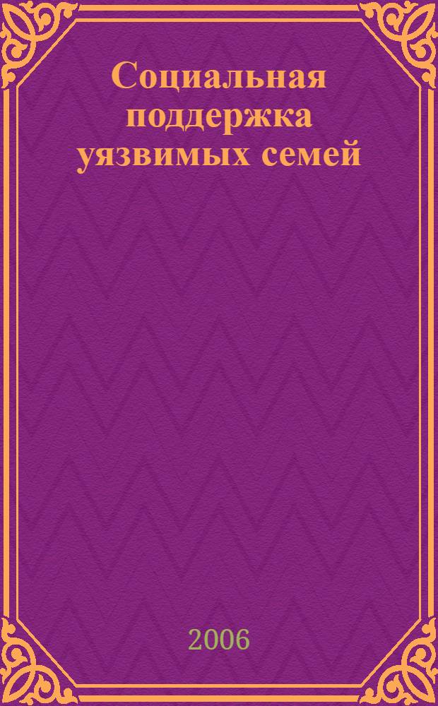 Социальная поддержка уязвимых семей : (социологический анализ) : автореф. дис. на соиск. учен. степ. канд. социол. наук : специальность 22.00.04 <Соц. структура, соц. ин-ты и процессы>