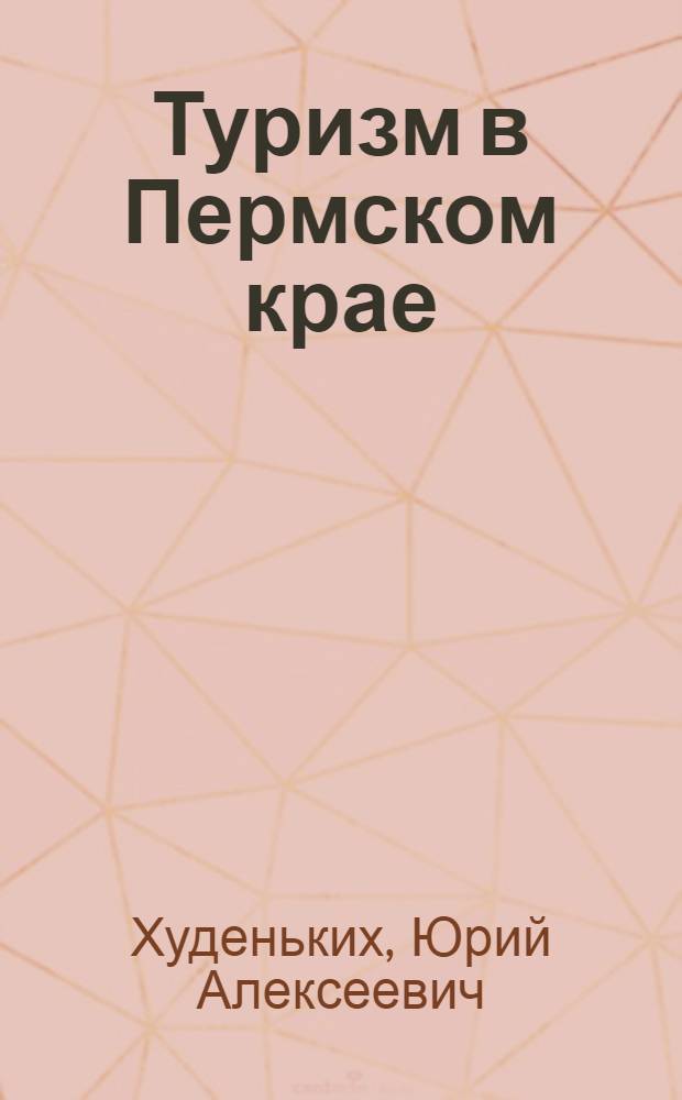 Туризм в Пермском крае: территориальная организация и региональное развитие : автореф. дис. на соиск. учен. степ. канд. геогр. наук : специальность 25.00.24 <Экон., соц. и полит. география>