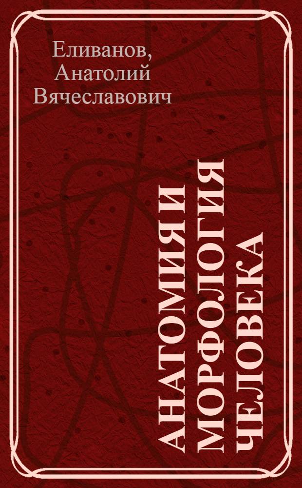 Анатомия и морфология человека : учебно-методическое пособие : для студентов специальности 050 102 "Биология"