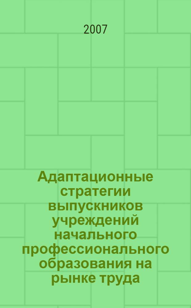 Адаптационные стратегии выпускников учреждений начального профессионального образования на рынке труда : (на материалах Московской области) : монография