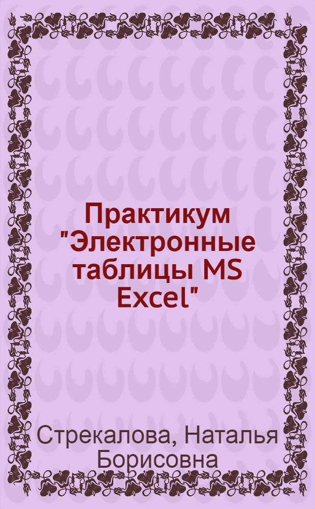 Практикум "Электронные таблицы MS Excel" : учебное пособие для студентов высших учебных заведений, обучающихся по специальности "Прикладная информатика (в областях применения)"