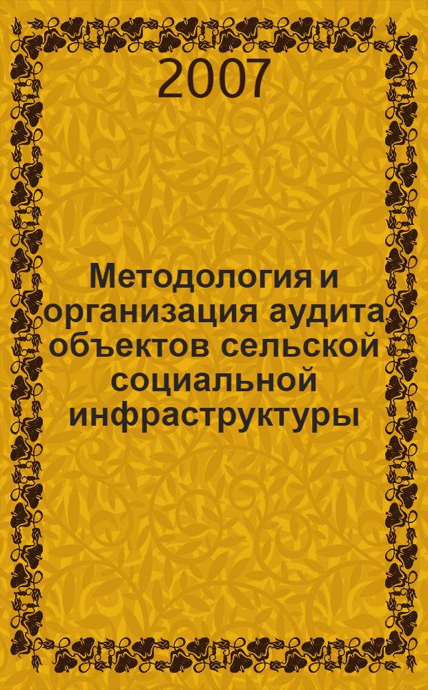 Методология и организация аудита объектов сельской социальной инфраструктуры : автореф. дис. на соиск. учен. степ. д-ра экон. наук : специальность 08.00.12 <Бухгалт. учет, статистика>