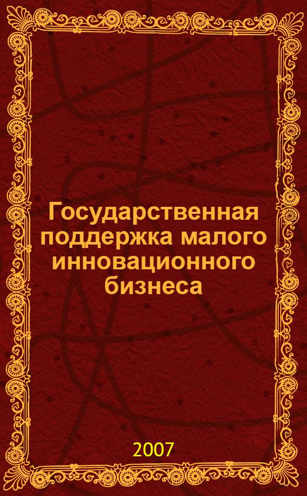 Государственная поддержка малого инновационного бизнеса : автореф. дис. на соиск. учен. степ. канд. экон. наук : специальность 08.00.01 <Экон. теория>