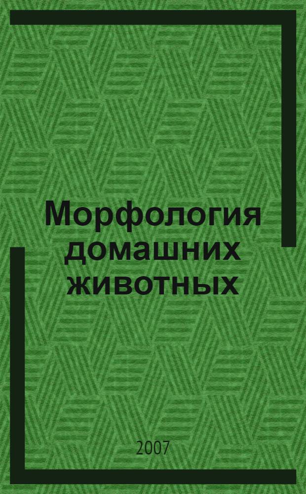 Морфология домашних животных : терминологический словарь